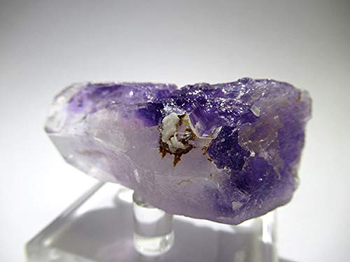 Amazon.co.jp: ナミビア ゴボボセブマウンテン ブランドバーグ産